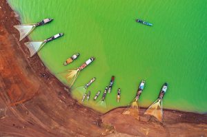 Bến Nôm mùa tảo xanh