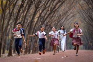 When the rubber trees change colors