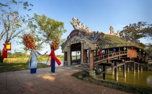 Rực rỡ sắc màu hoa giấy Thanh Tiên