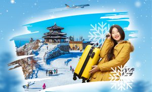 Discounts for flights to Japan and South Korea