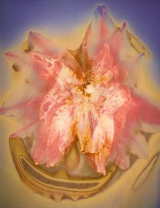 Where dreams and reality meet