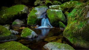 Ngắm một Việt Nam nghìn trùng qua những dãy núi