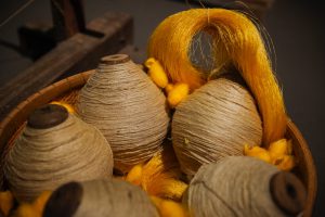 Muôn nẻo đường tơ