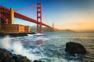 The city, the forests, and the sea