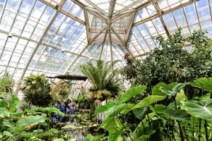 Lên rừng xuống biển ở San Francisco