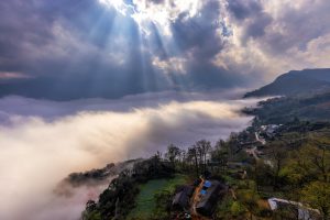 16. Sâu chua – Nàng thơ giữa núi rừng Tây Bắc – Đỗ Bá Hưng