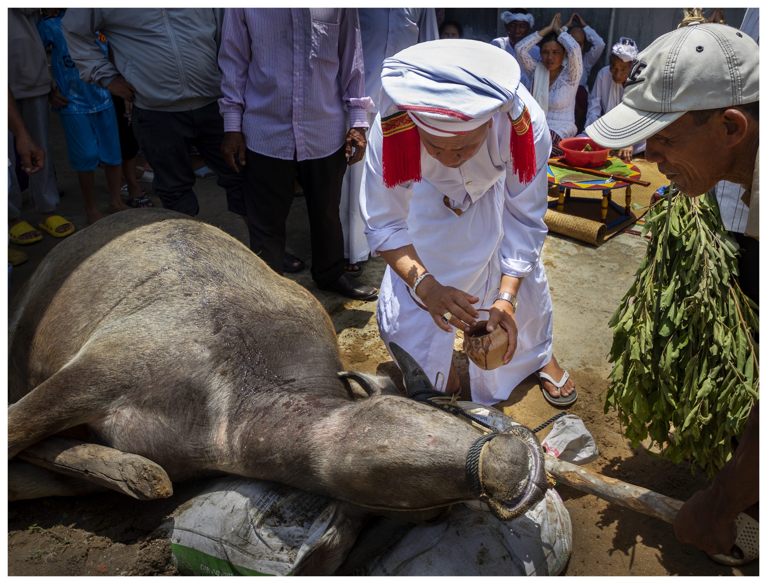 14. Lễ Ndam Padhi Chăm Bani Ninh Thuận – Ngô Quang Phúc