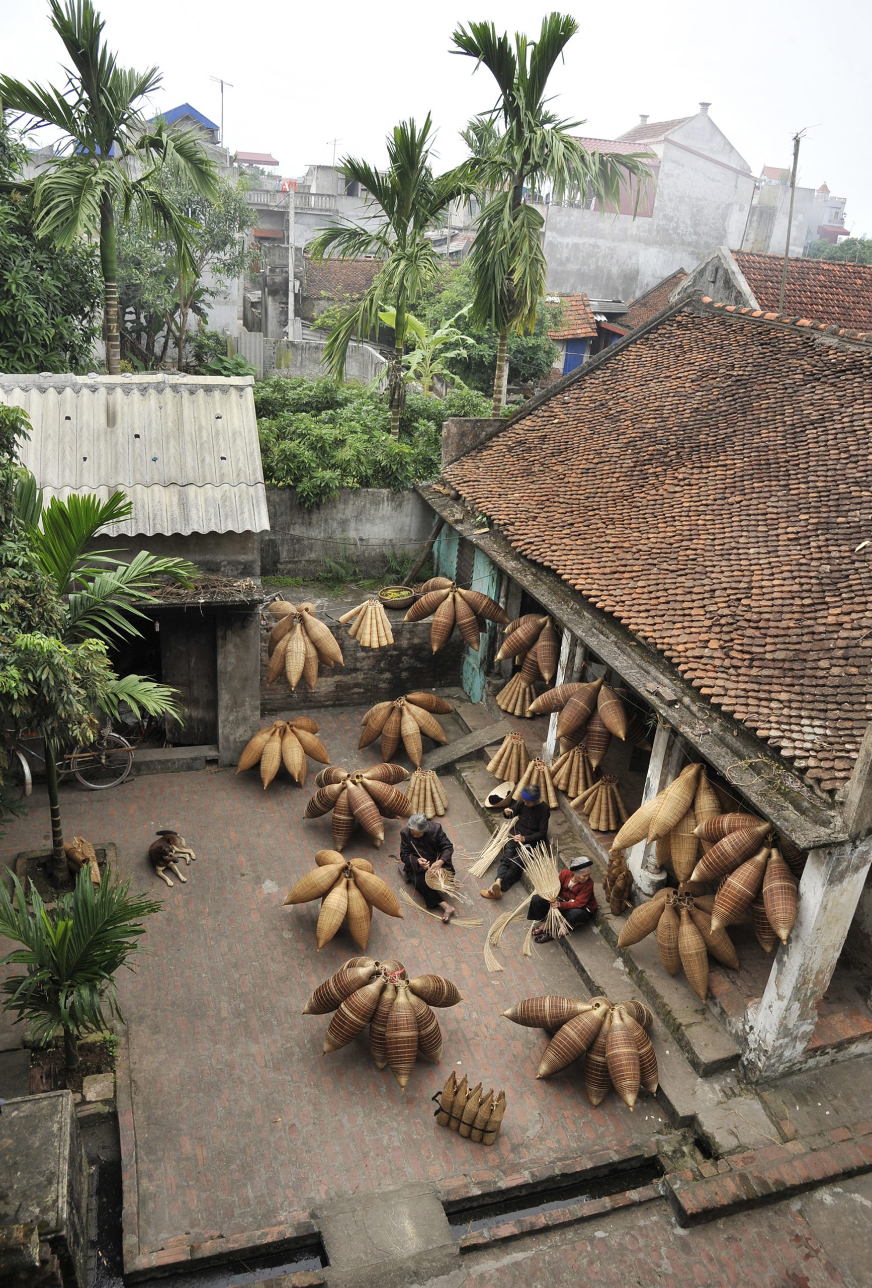 37.Đan đó – Lại Diễn Đàm