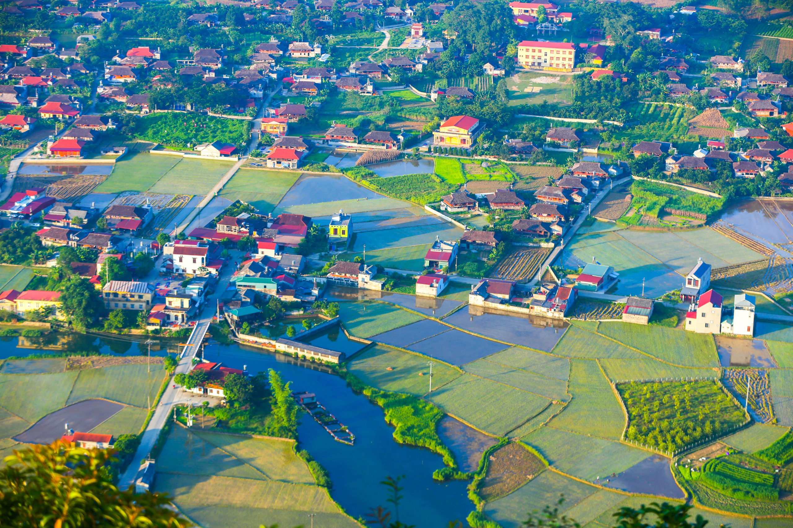 21.Bắc Sơn mùa lúa non – Vũ Văn Long