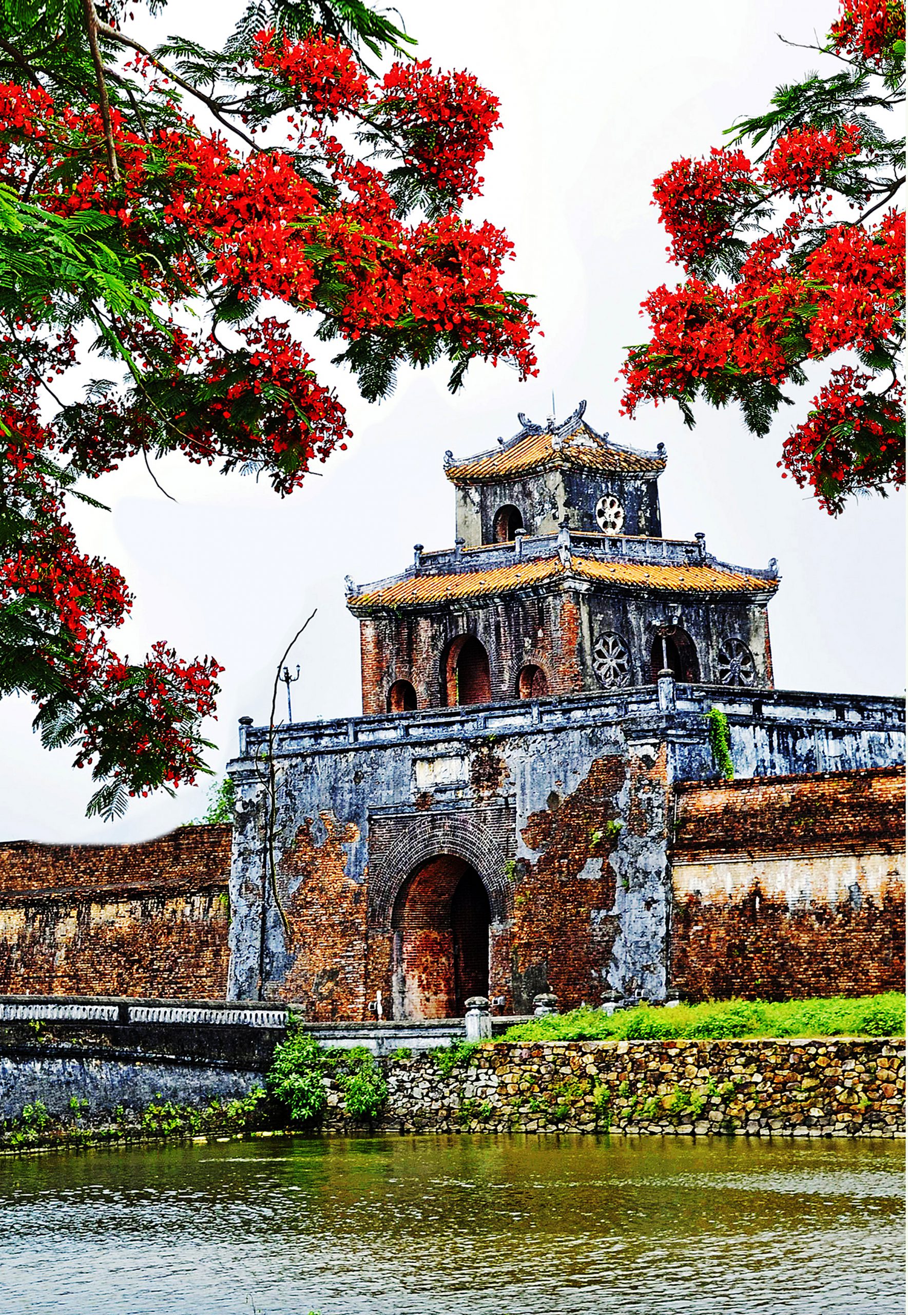64.Huế mùa Phượng vĩ – Huỳnh Mỹ Thuận