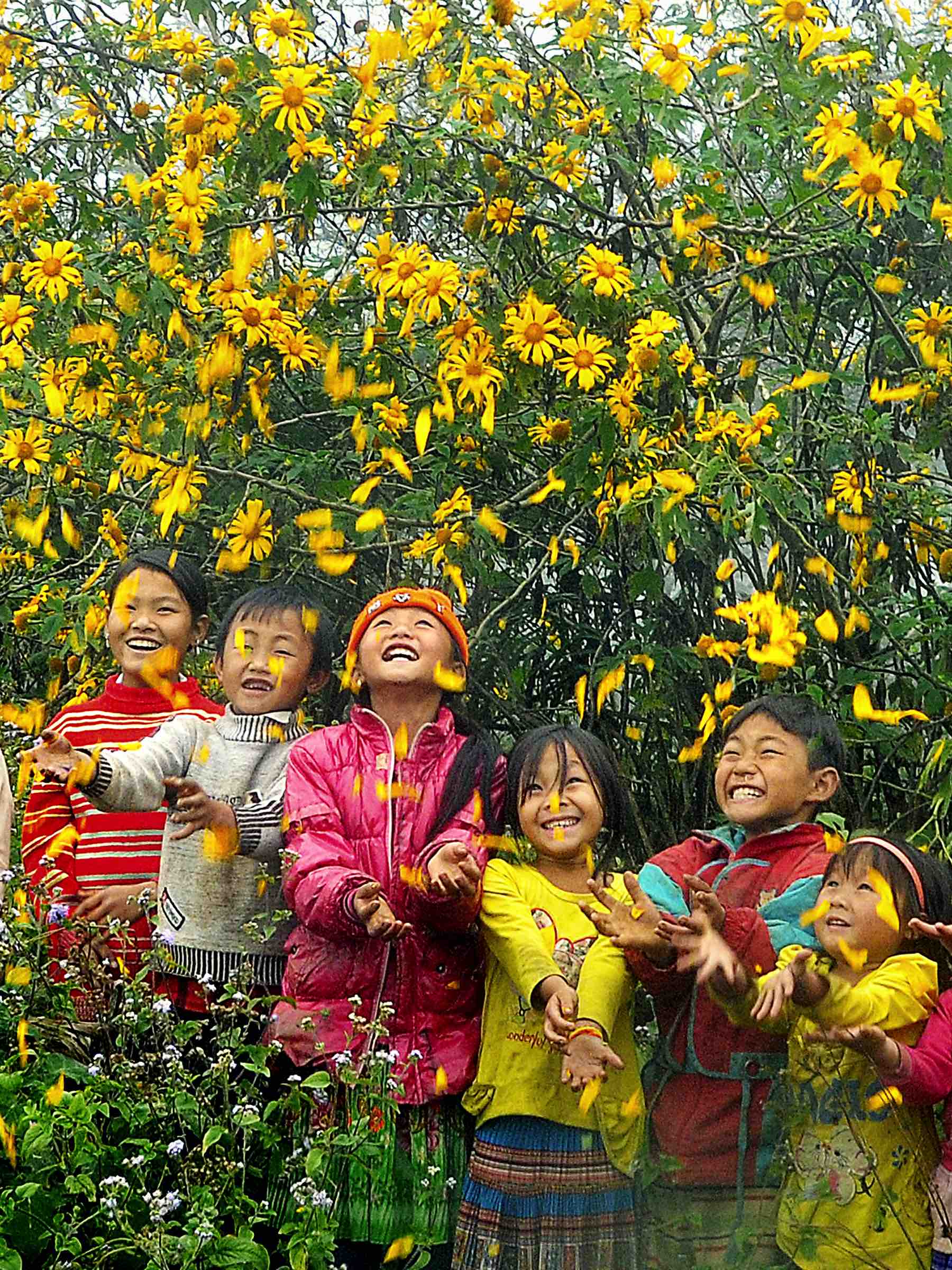 76.Mùa hoa dã quì – Huỳnh Mỹ Thuận