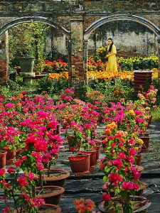 79.Thềm Xuân – Huỳnh Mỹ Thuận