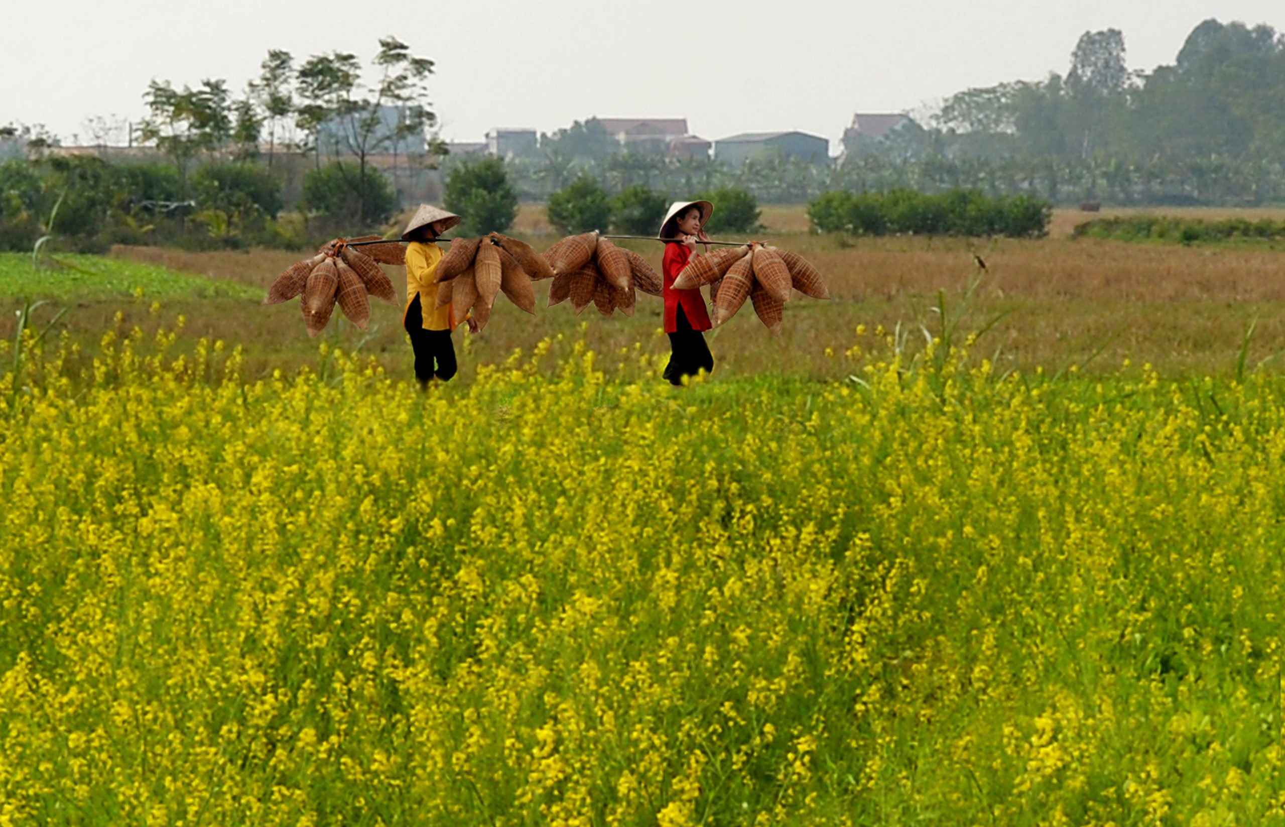 37.Đan đó – Lại Diễn Đàm