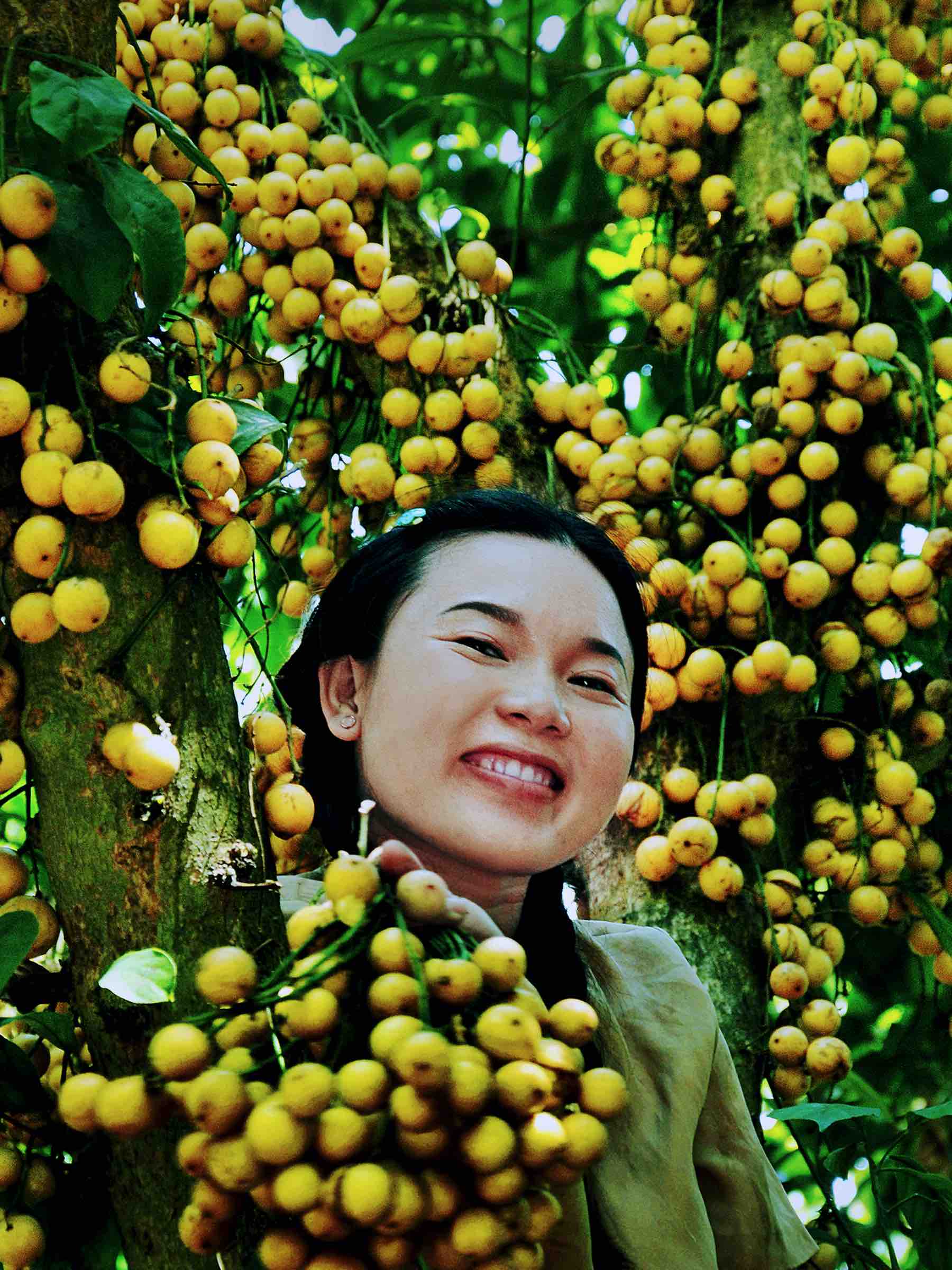 81.Mùa dâu Lái Thiêu – Huỳnh Mỹ Thuận