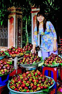 84.Măng Cụt Lái Thiêu – Huỳnh Mỹ Thuận