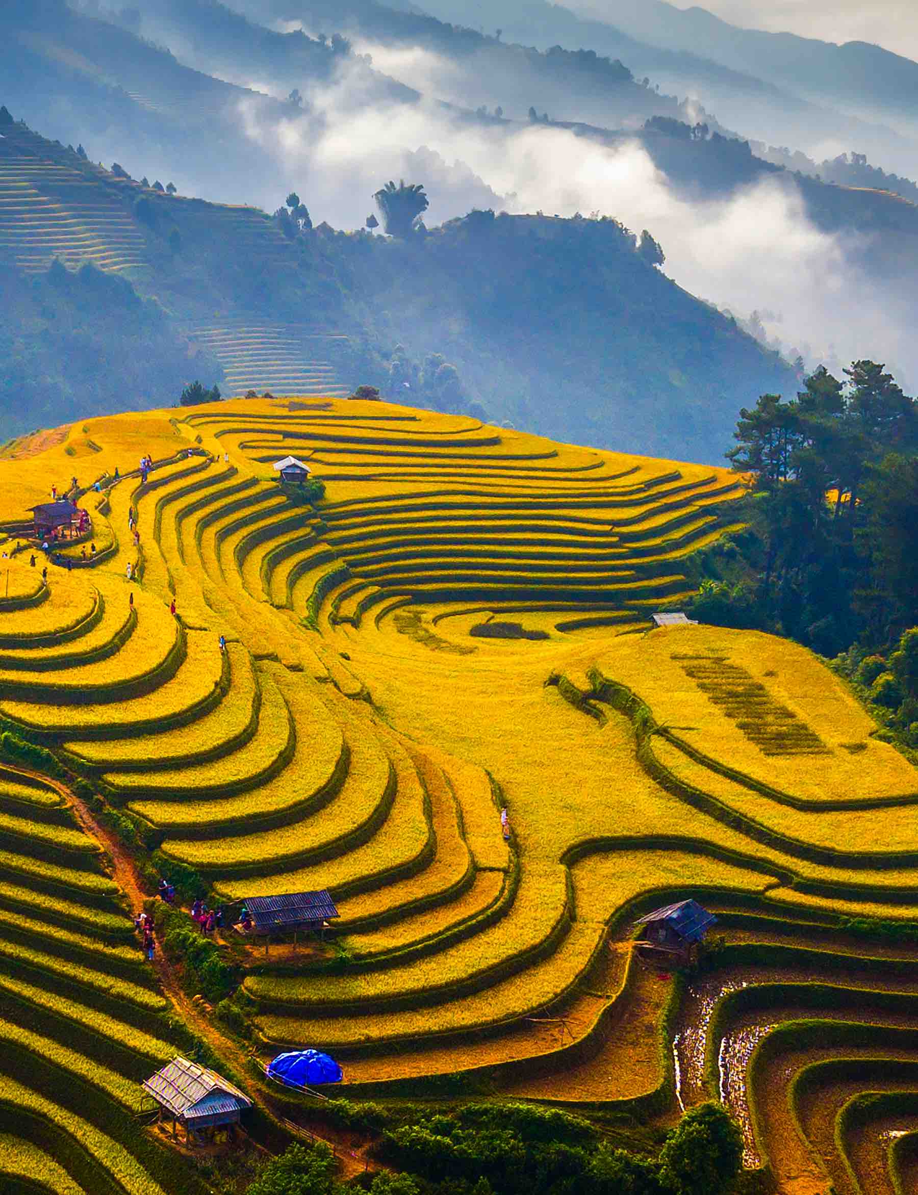 88.Nắng mới  – Nguyễn Xuân Tình – Nghĩa Lộ – Yên Bái