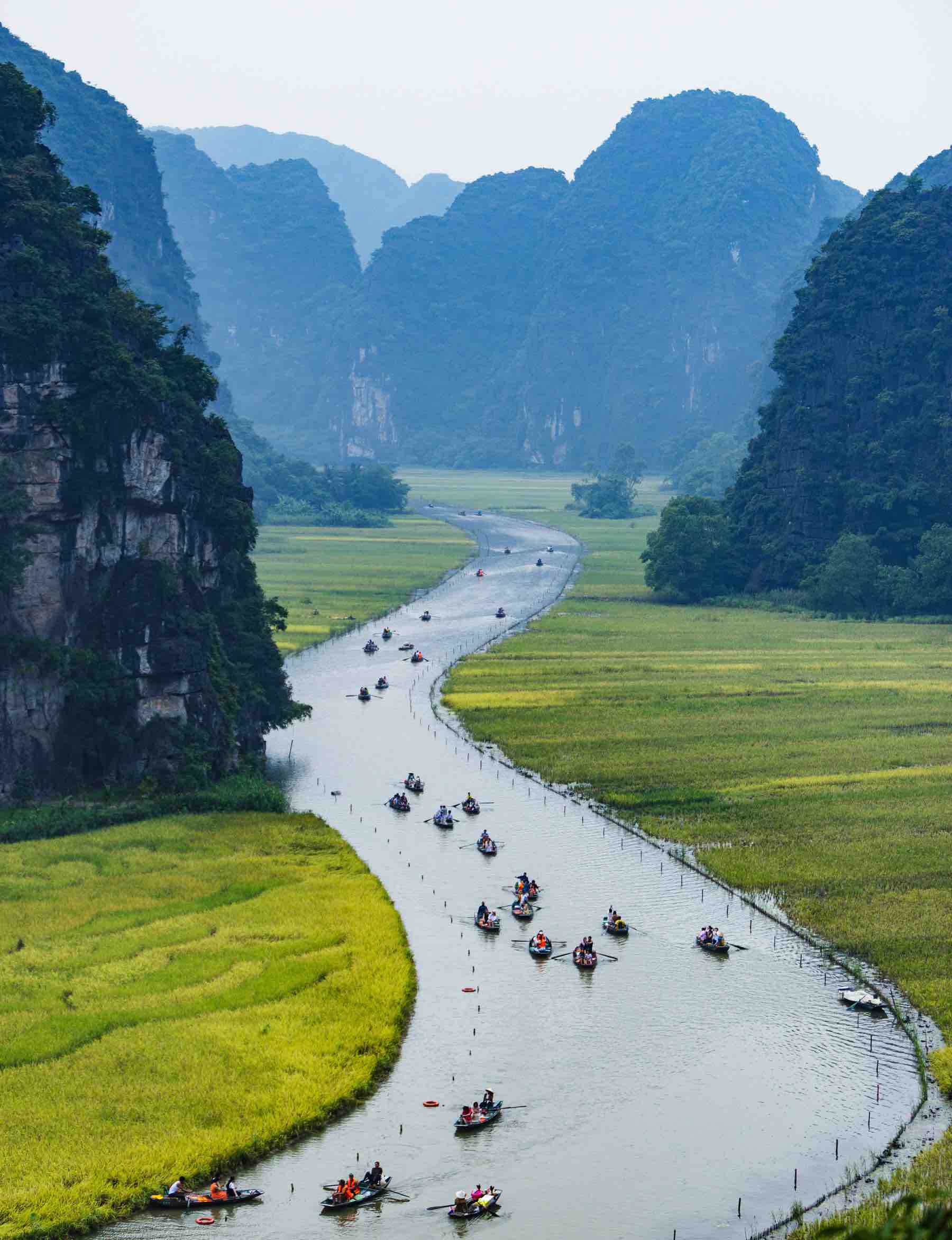 93.Mùa vàng Tam Cốc – Nguyễn Trường Minh