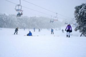 Where seasons converge