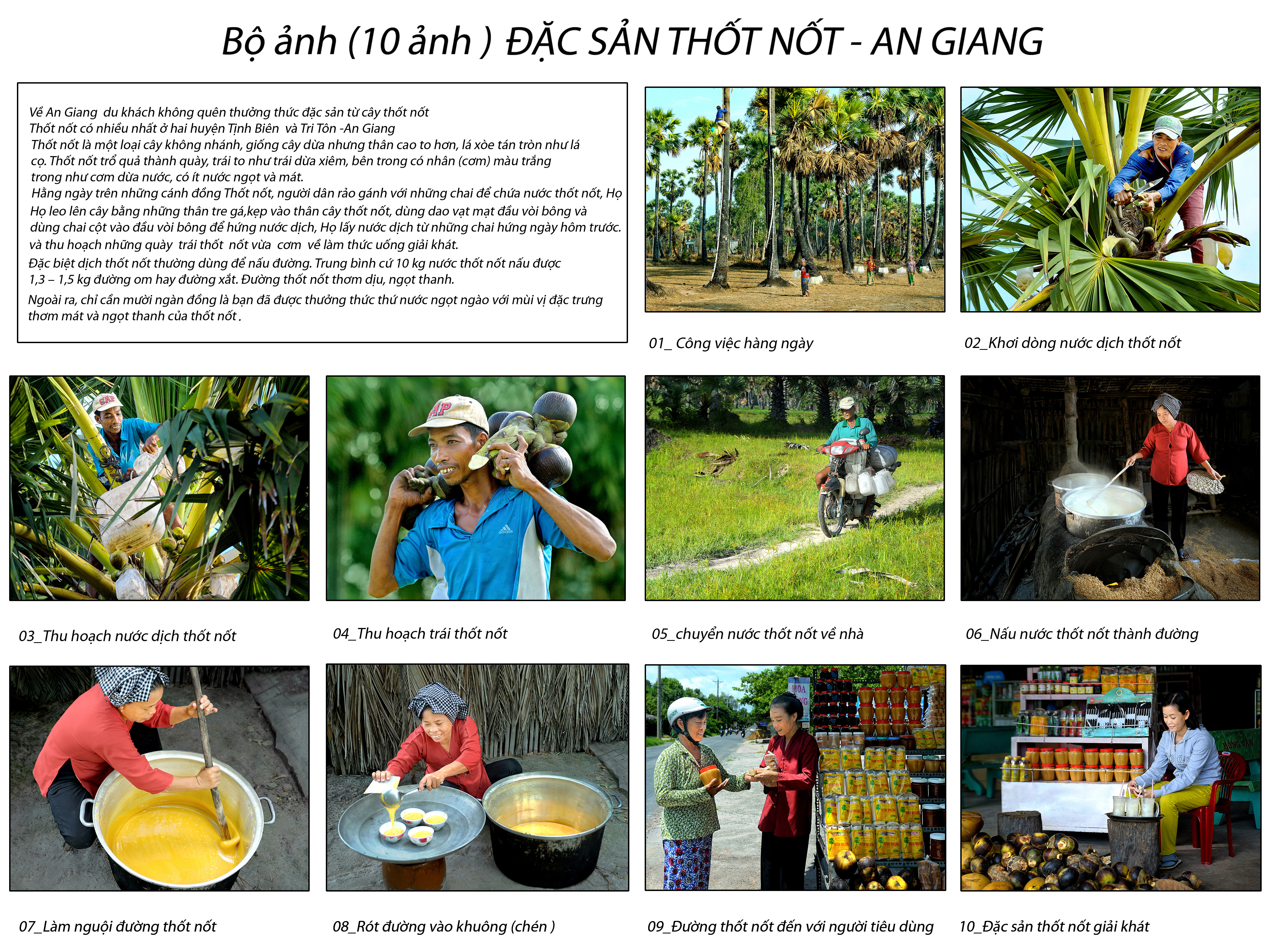 52.Đặc sản thốt nốt An Giang – Võ Văn Hoàng