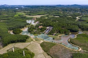 66.Quần thể các lăng vua nhà Nguyễn – Nguyễn Trung Thành