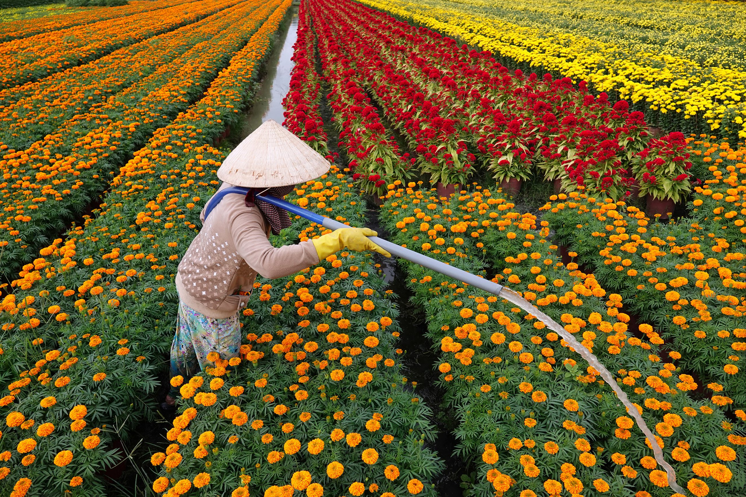 80.Nón lá ba miền- Bùi Quốc Sỹ