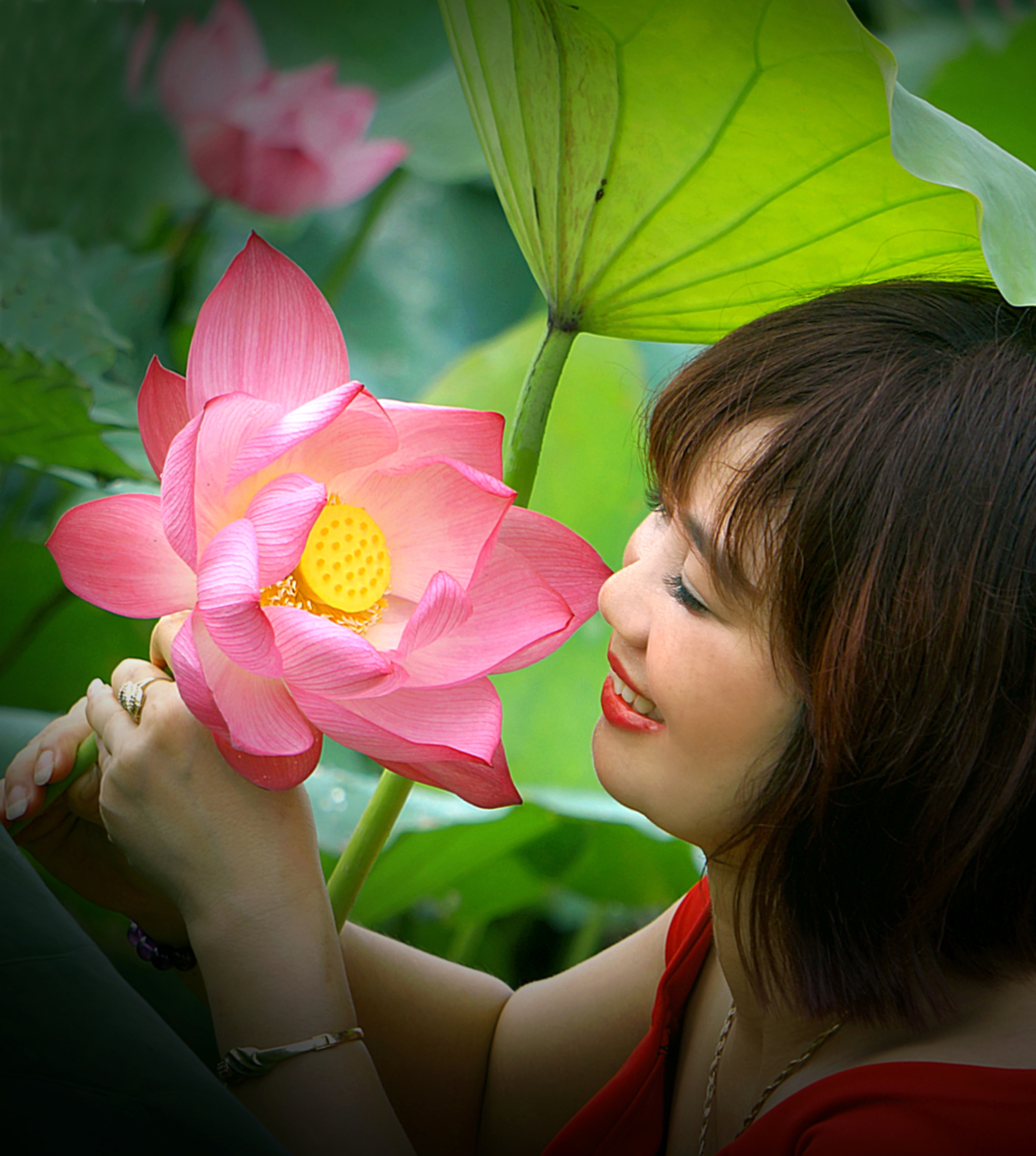 48.MÙA SEN KHOE SẮC – Nguyễn Hữu Thanh