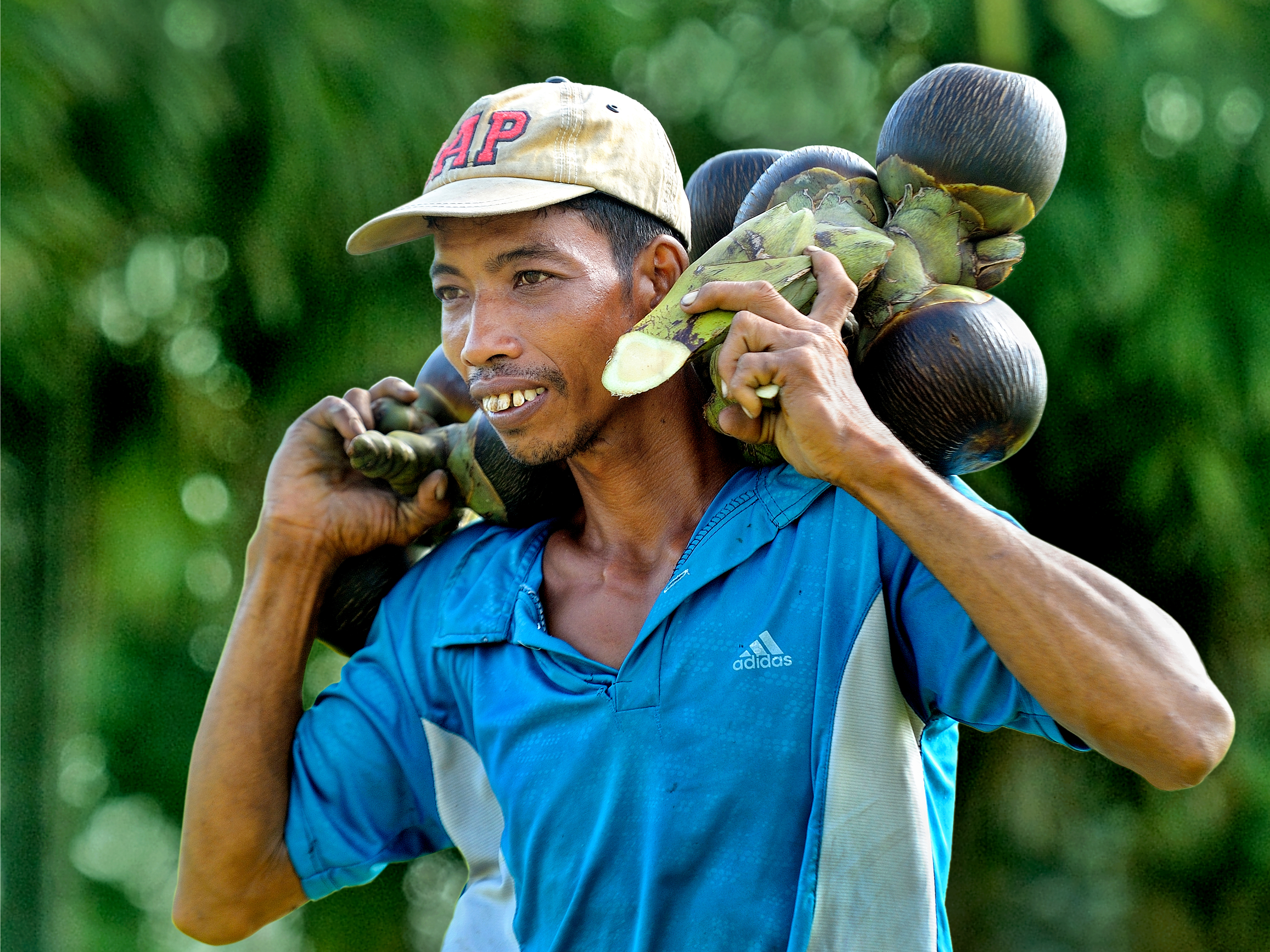 52.Đặc sản thốt nốt An Giang – Võ Văn Hoàng