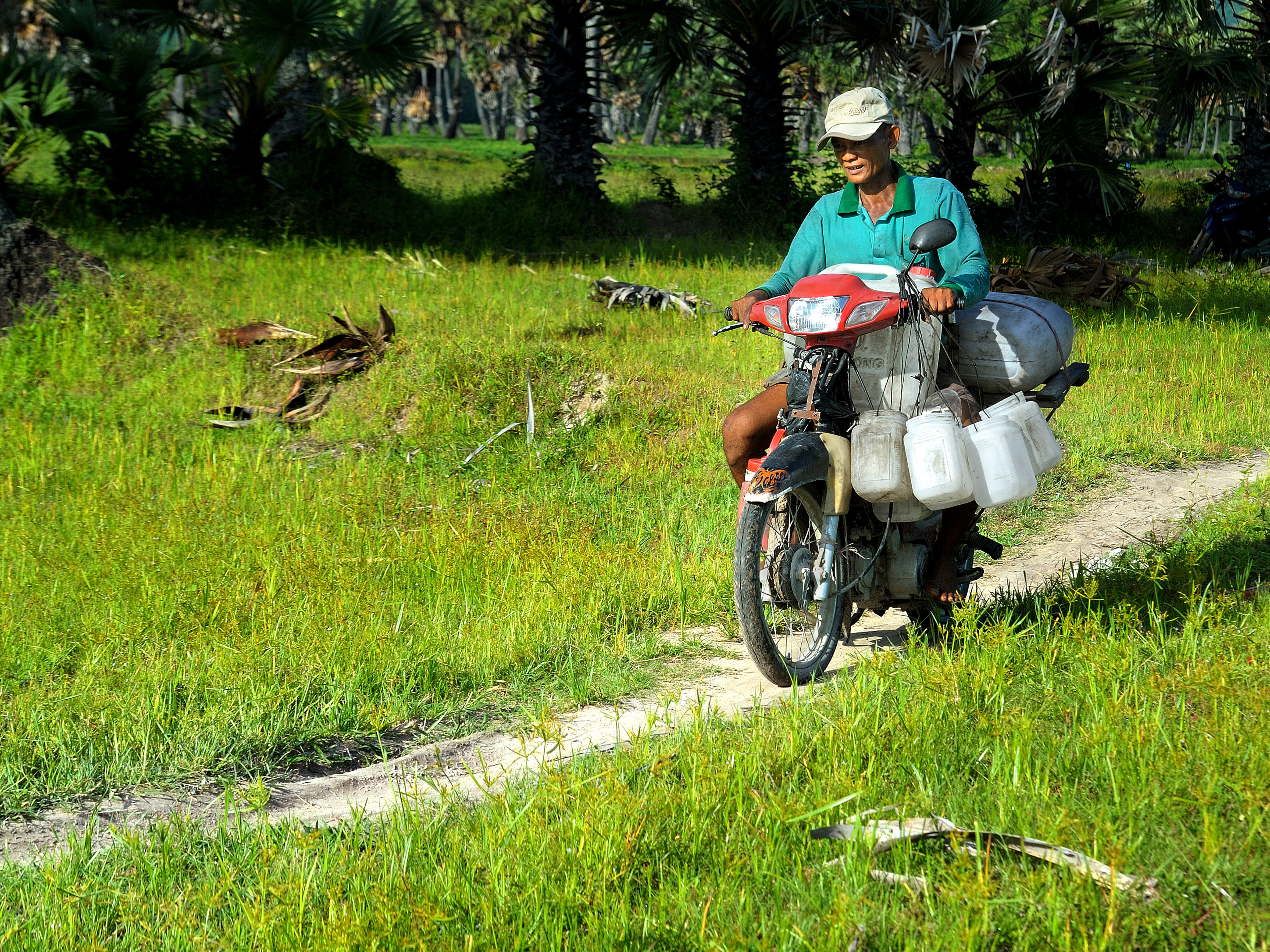 52.Đặc sản thốt nốt An Giang – Võ Văn Hoàng