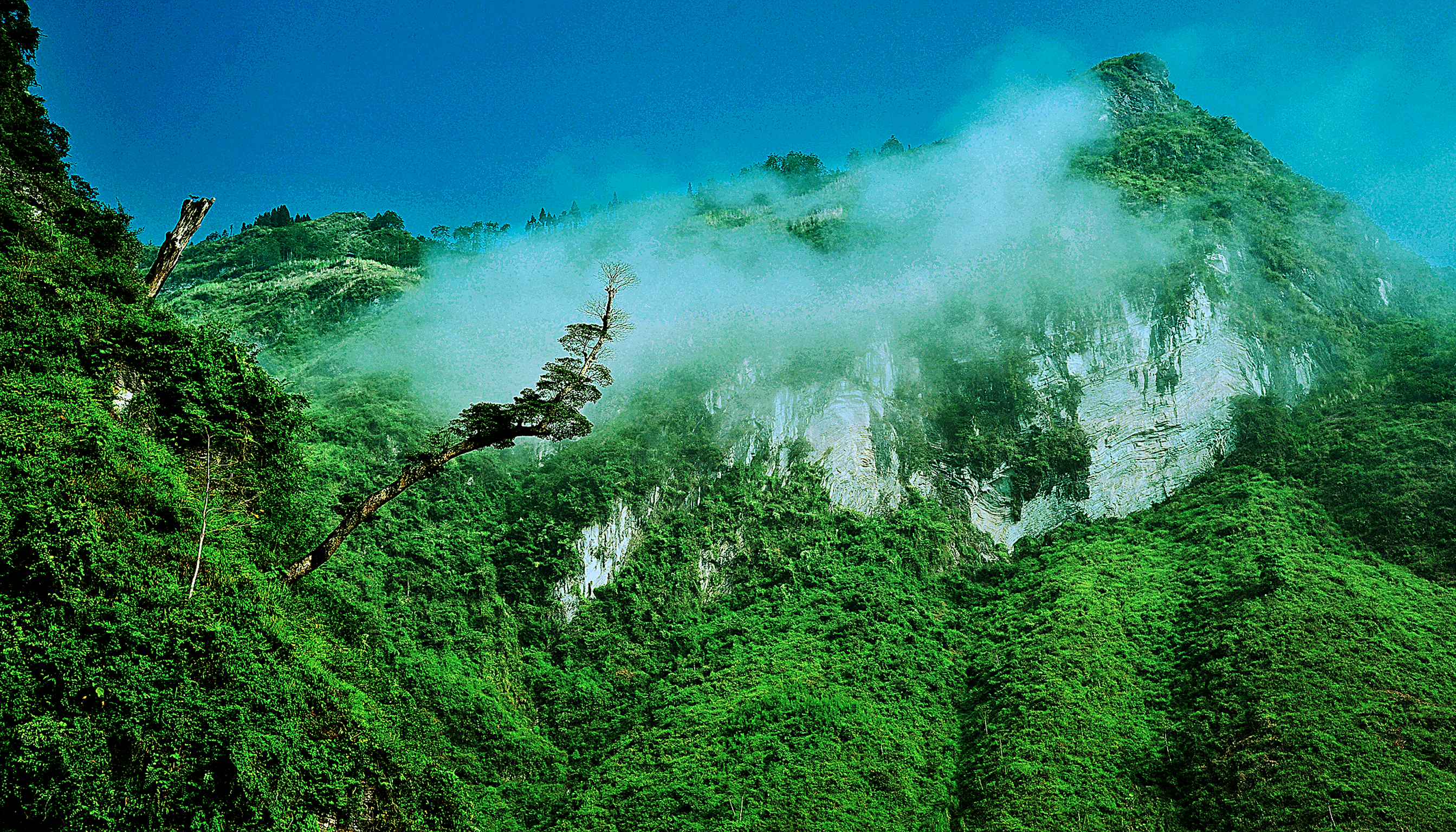 40.Mã Pì Lèng – Huỳnh Mỹ Thuận