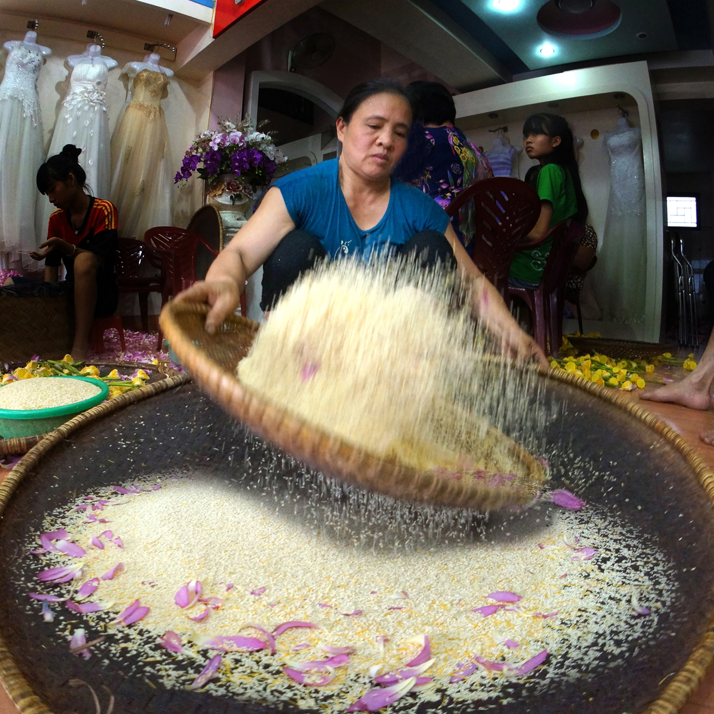 48.MÙA SEN KHOE SẮC – Nguyễn Hữu Thanh