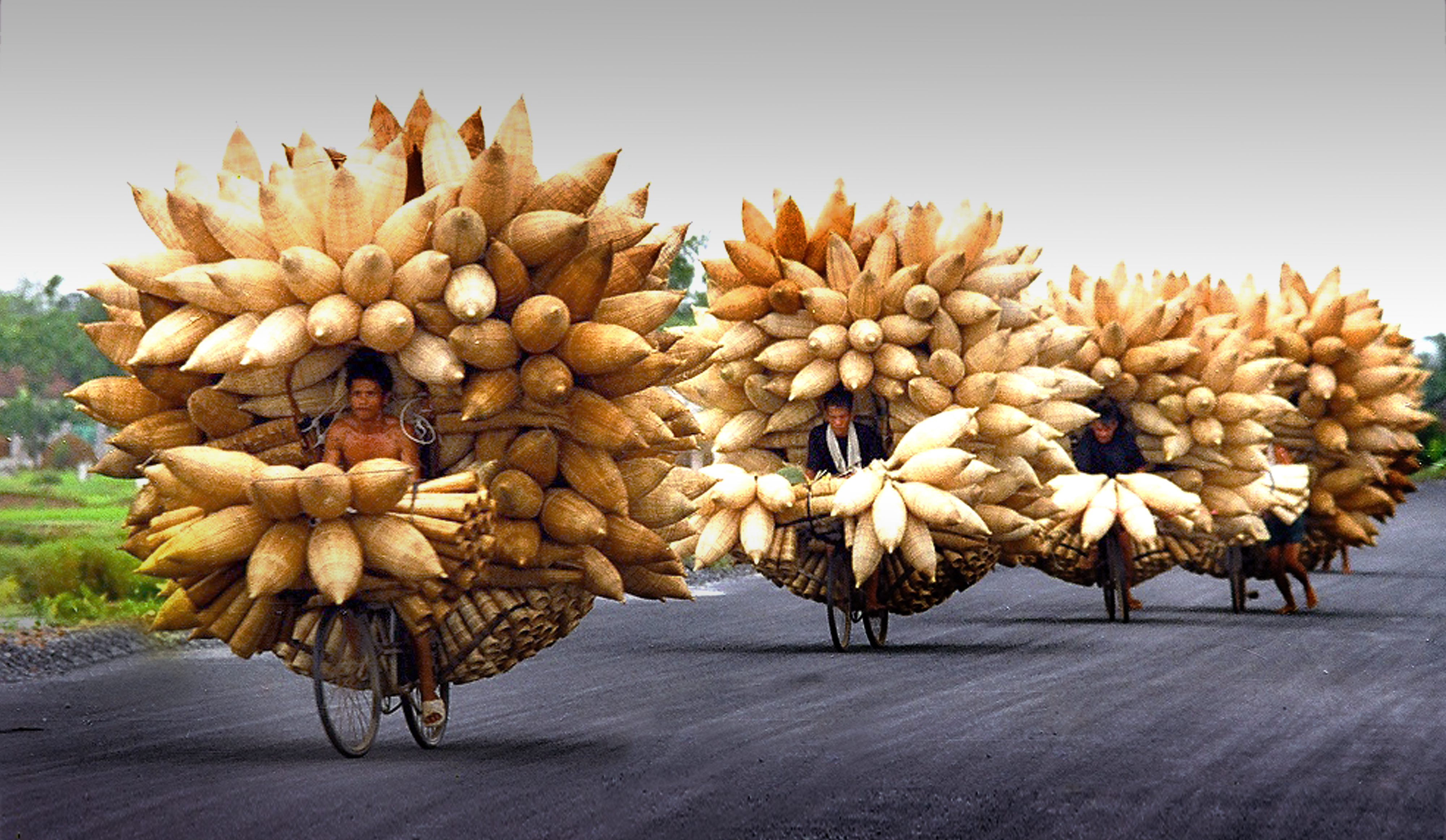 45.Nghề đan đó đậm chất miền quê thanh bình – Nguyễn Hữu Thanh