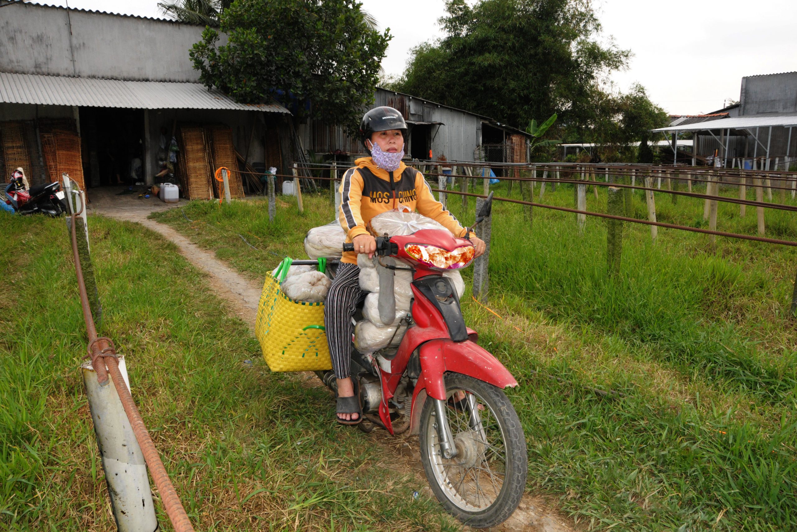 63. Sản xuất hủ tiếu – Nguyễn Ngọc Hải