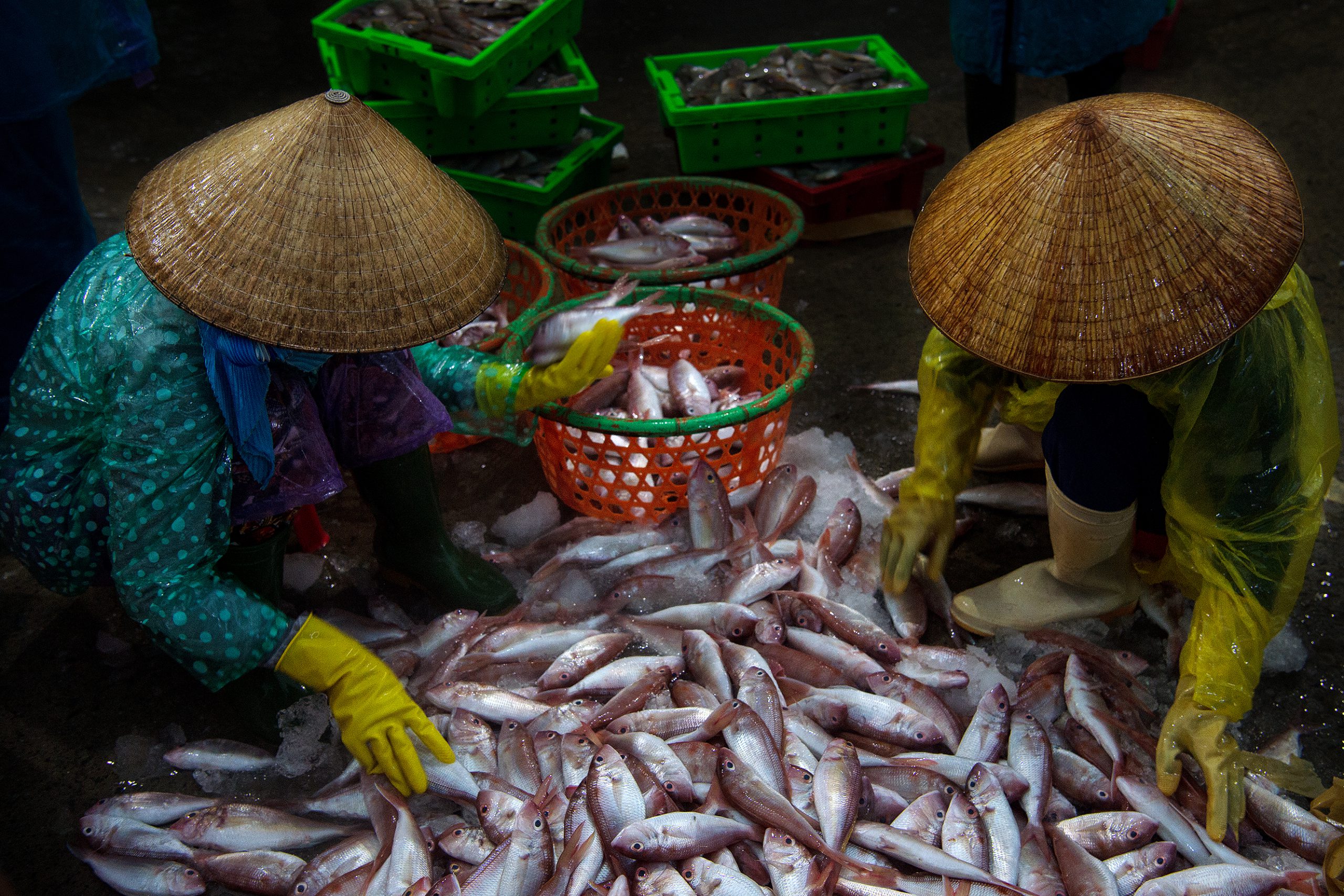 80.Nón lá ba miền- Bùi Quốc Sỹ