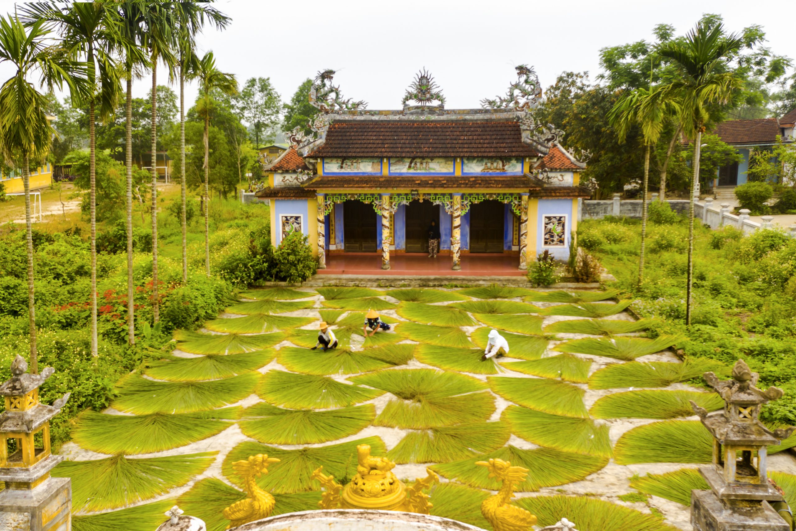 56.Làng nghề đệm bàng Phò Trạch – Nguyễn Trung Thành