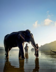 Người bạn lớn của đồng bào Tây Nguyên