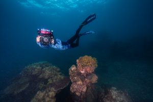 Lặn biển ở Côn Đảo