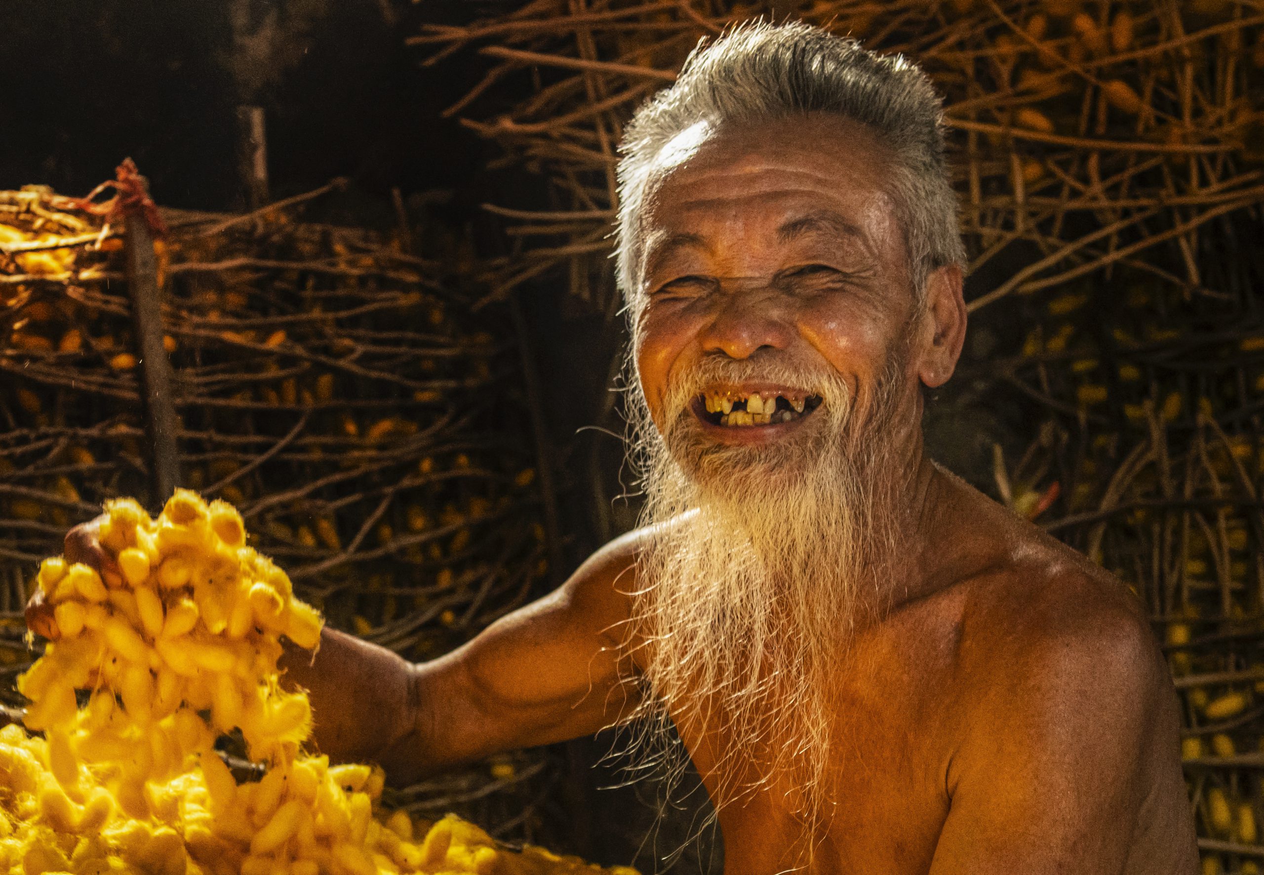 85.Sắc vàng tạo hóa – Vũ Lâm