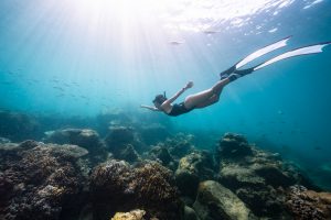 Dive into the deep blue sea