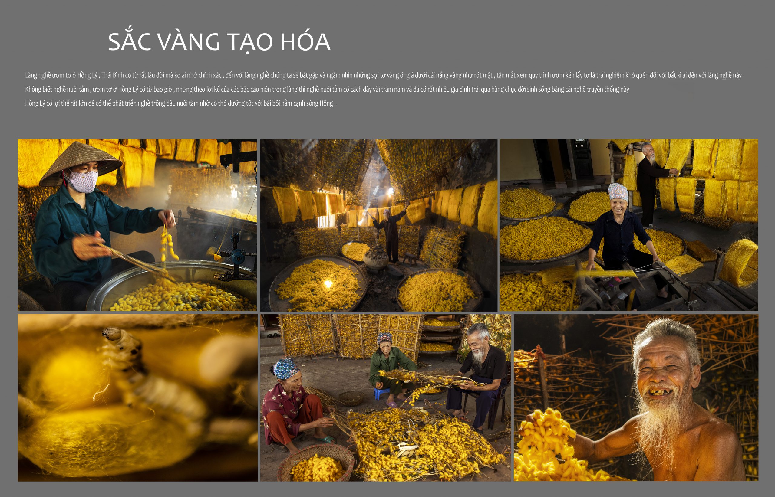 85.Sắc vàng tạo hóa – Vũ Lâm