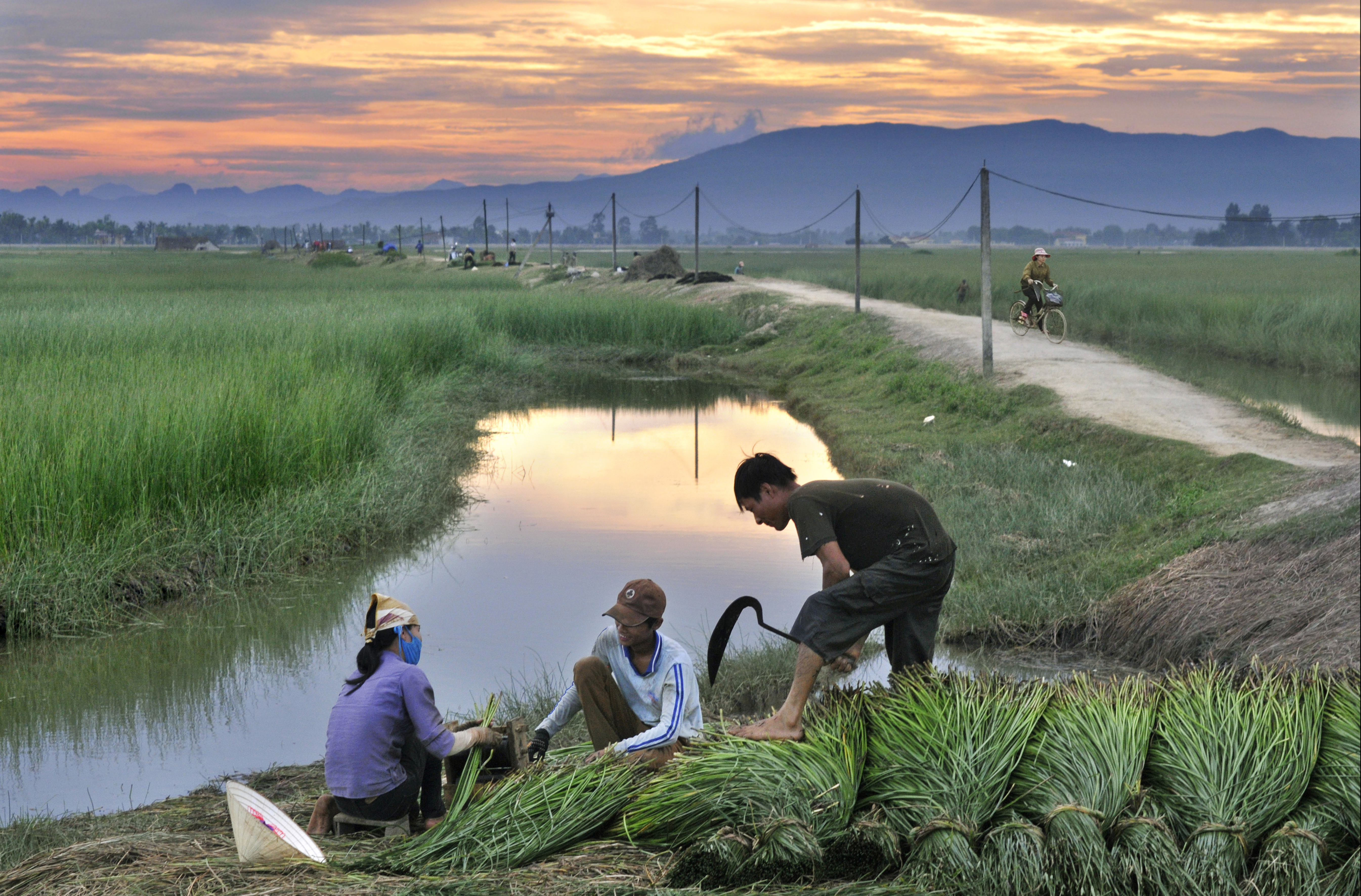 42.Làm chiếu – Lại Diễn Đàm