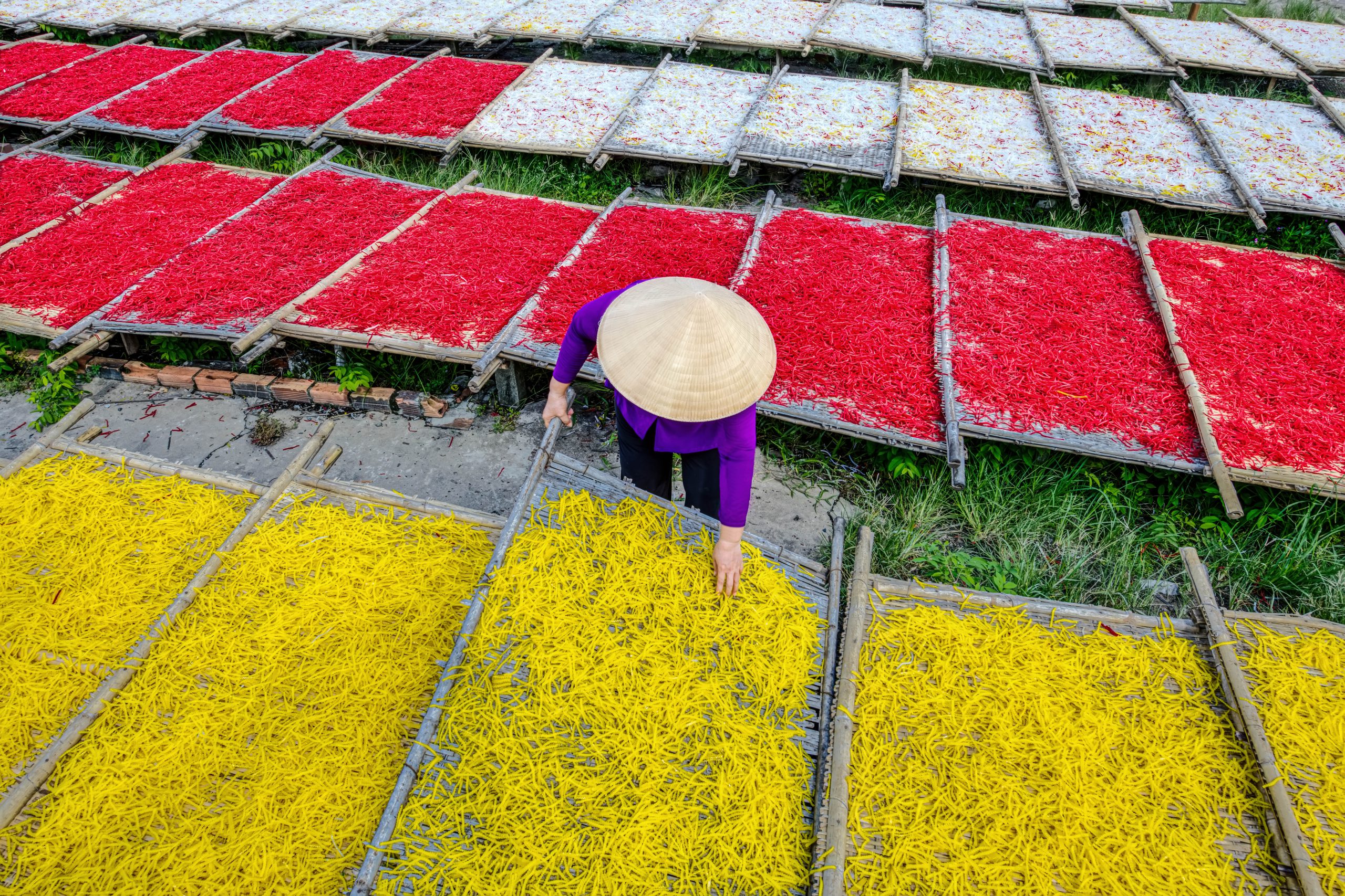 140. Làng bột khoai Tây Ninh – Nguyễn Thị Tuyết Giang