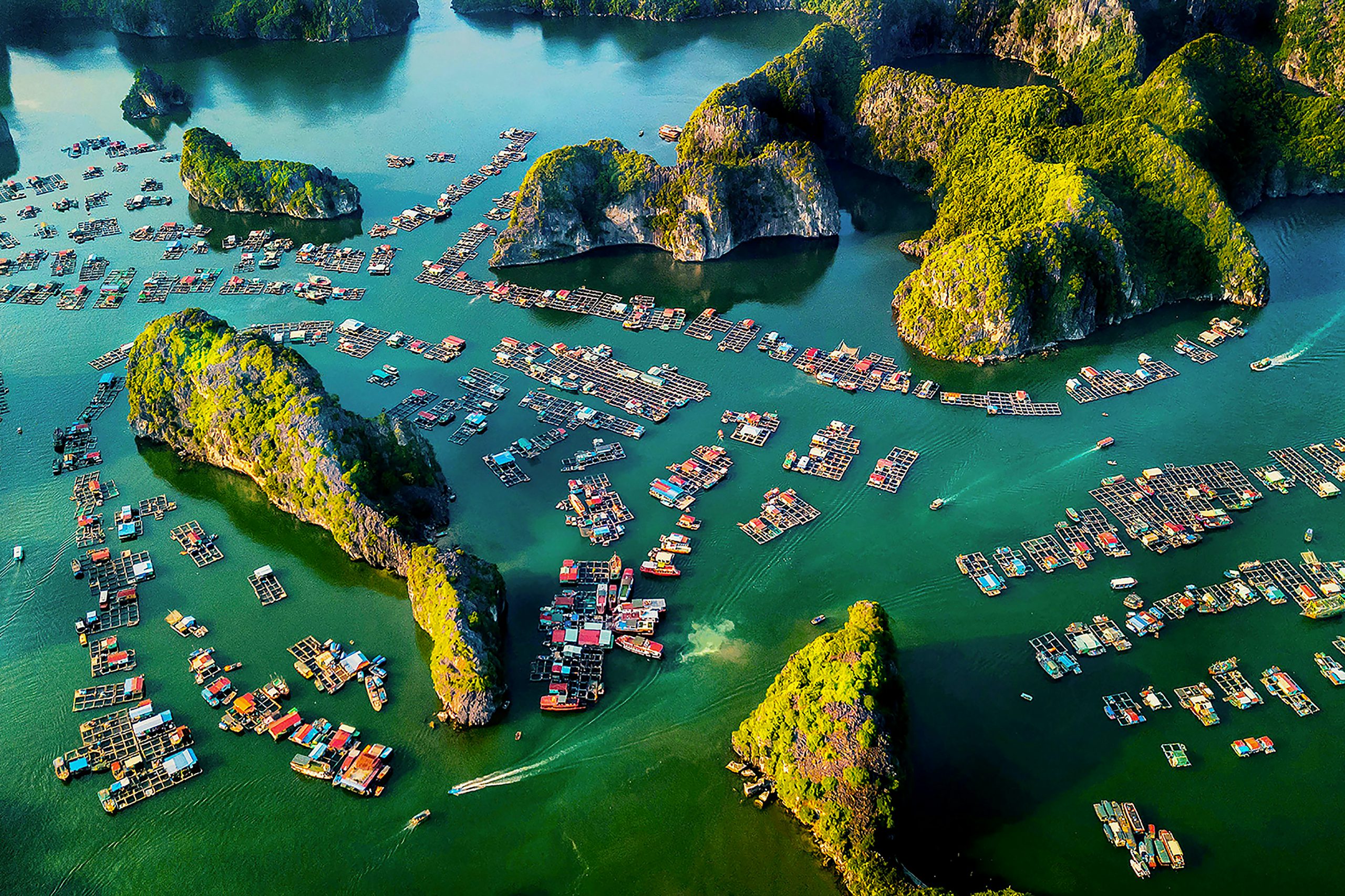 95.Việt Nam nhìn từ trên cao – Vũ Mạnh Cường