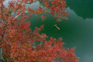 124.MÙA THU BIÊN GIỚI – Vũ LÂM