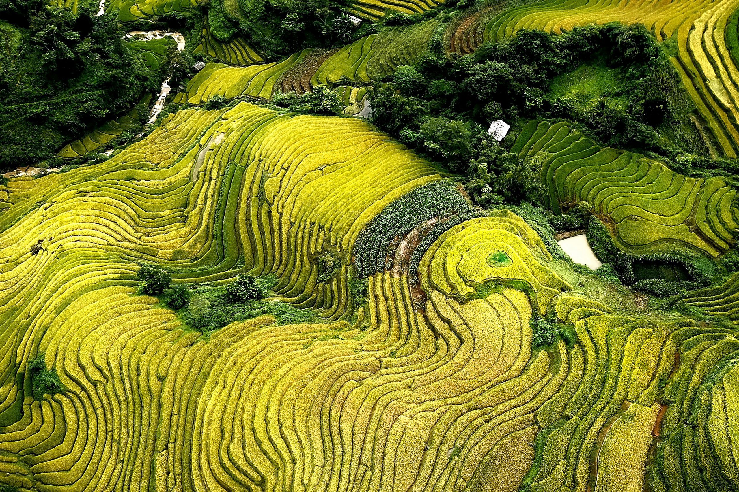 95.Việt Nam nhìn từ trên cao – Vũ Mạnh Cường