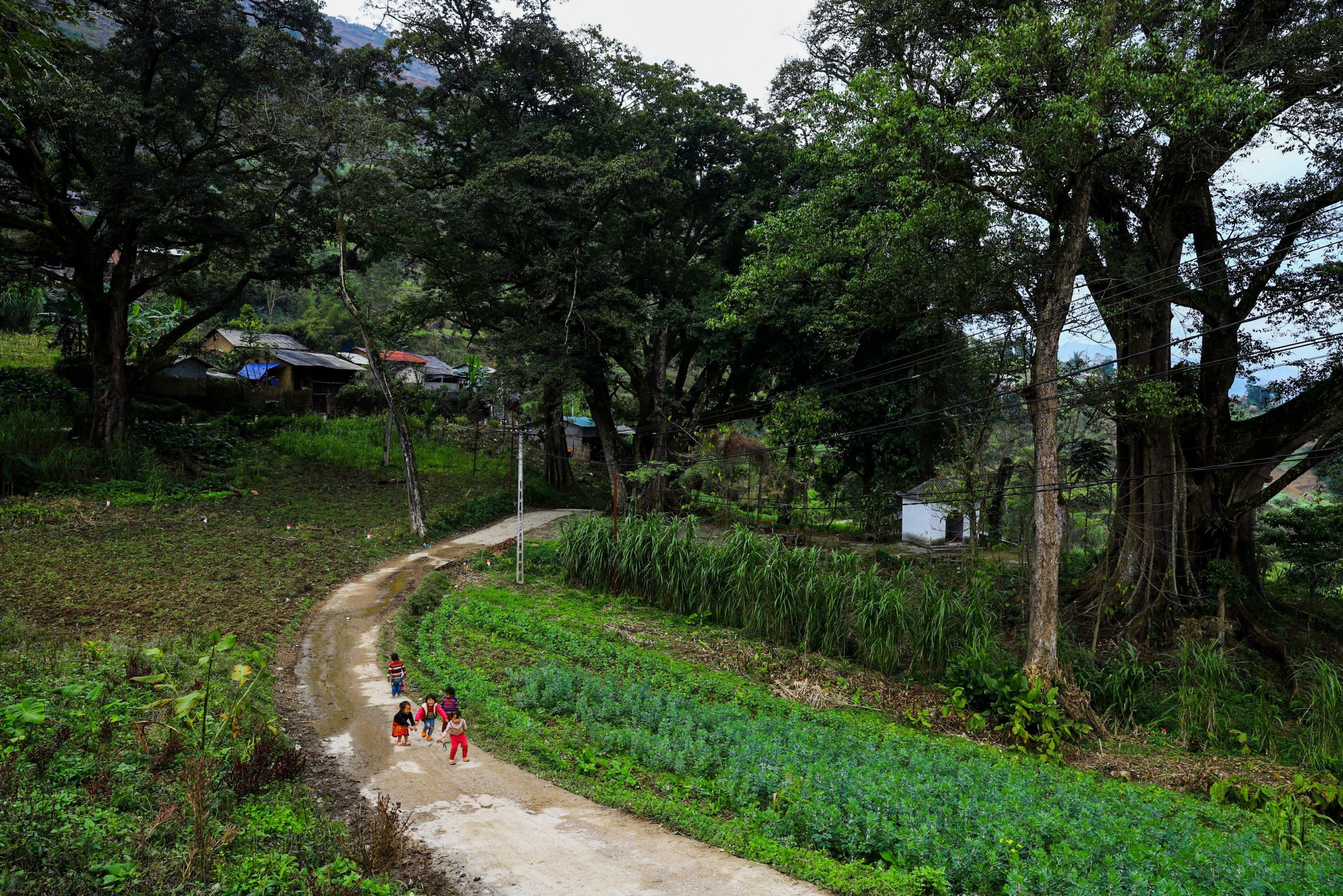 170. Làng cổ Thiên Hương – An Thành Đạt