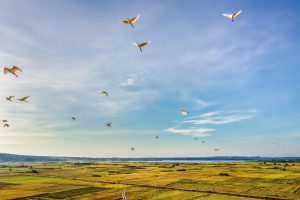 Chạm vào nỗi nhớ cao nguyên