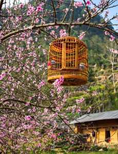 108. Mùa Xuân nơi biên giới – Nguyễn Anh Tuấn