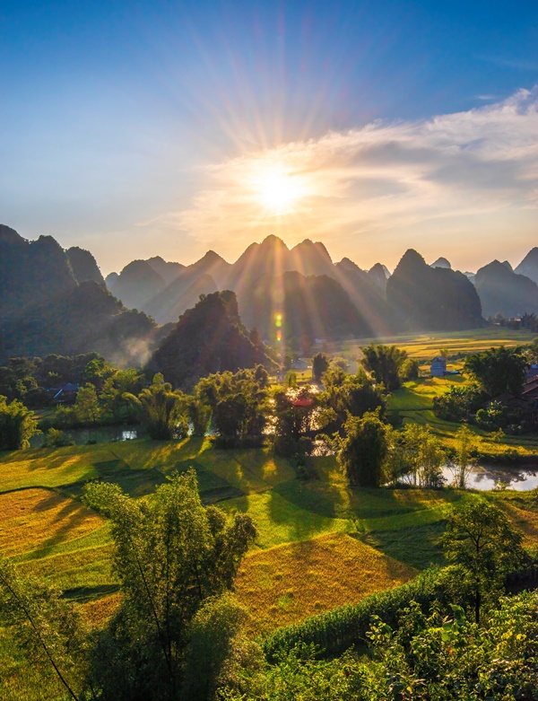 110. Phong Nậm (Cao Bằng) mùa lúa chín – Nguyễn Anh Tuấn