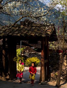 114. Xuân đã về – Nguyễn Anh Tuấn