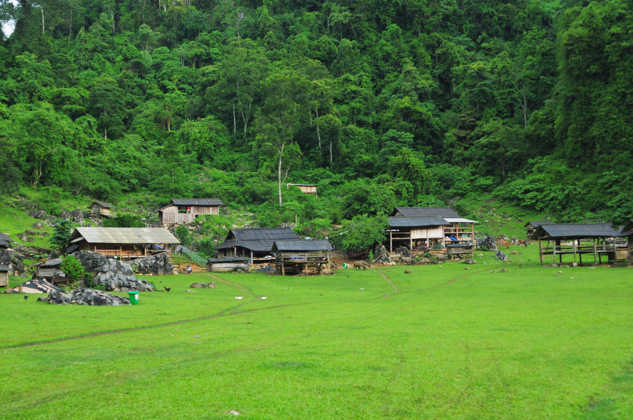 120.Những đứa trẻ H’Mông-Trần Dung
